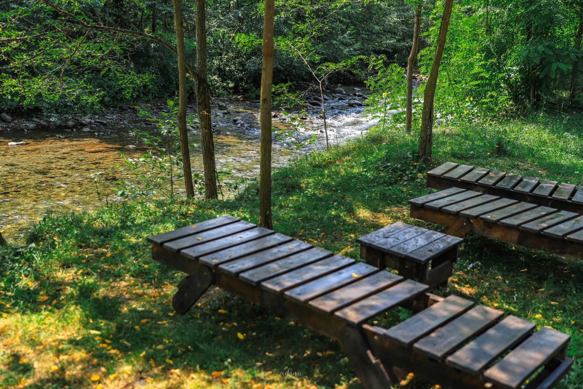 Pensiunea Vinatur โปรุมบาคู เด ซุซ ภายนอก รูปภาพ