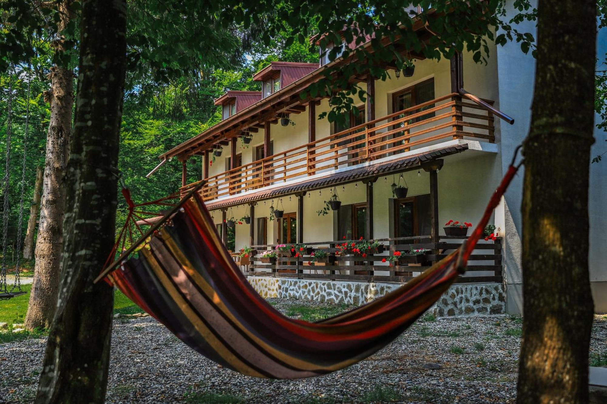 Pensiunea Vinatur โปรุมบาคู เด ซุซ ภายนอก รูปภาพ